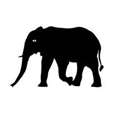 silhouette of elephant