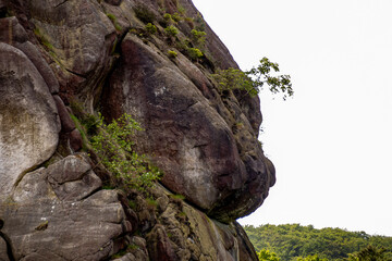 Felsen im Wald vor blauem Himmel