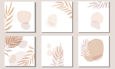 Fototapeta na wymiar Tropical palm leaves. Random spots of delicate pastel beige and pale brown. A set square backgrounds.