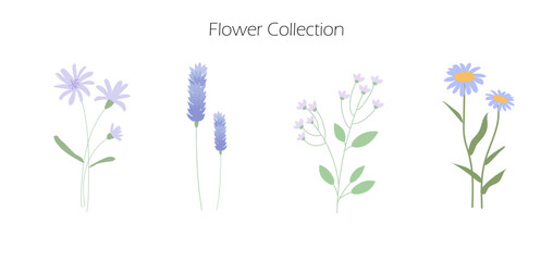 Purple color wildflowers vector hand drawn illustration set, floral collection, botanical for decoration. Isolated.