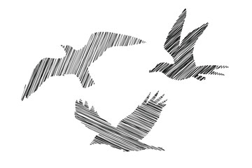 Birds Scribbles- three birds made using scribbles, hand drawn design, scribble different birds  illustration