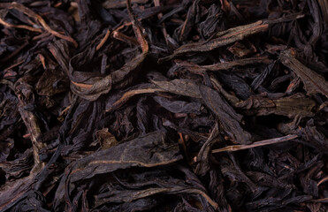 Dan Tsung Oolong. Chinese tea. Tea tree leaves close-up.