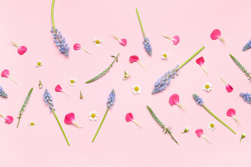 Composition with beautiful Muscari flowers and petals on pink background