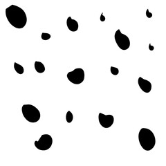 Point Sprinkle Border