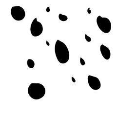 Point Sprinkle Border