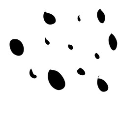 Point Sprinkle Border