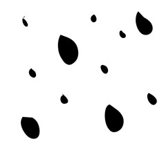 Point Sprinkle Border