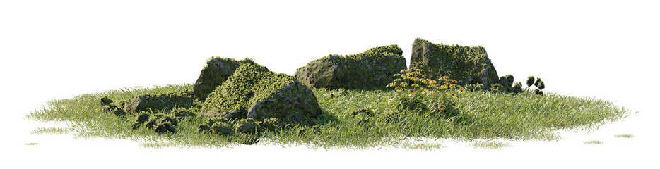 Green moss isolated on white background