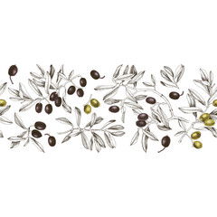 Olives seamless border. Floral illustration
