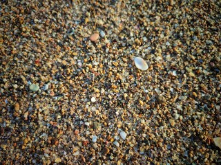 Beach sand grain texture, close up view