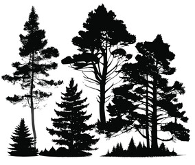 Vector illustration. Forest silhouette. Trees, pine trees, Christmas trees. On white background.