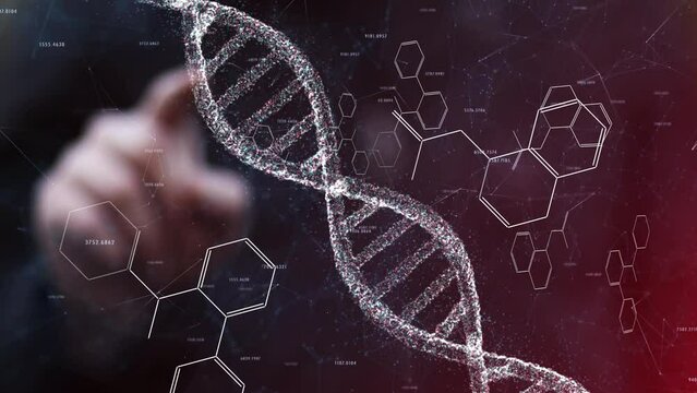 Scientist typing on concept science screen with dna and chemical hexagon bonds animation.