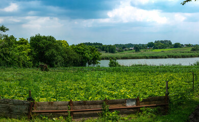 Fototapeta na wymiar landscape with a pond and rural vegetable gardens in the South of Russia - a sunny summer day