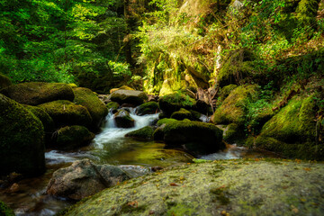 waterfall in the forest