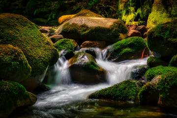 waterfall in the forest