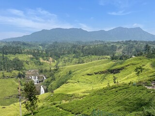 landscape in the mountains
