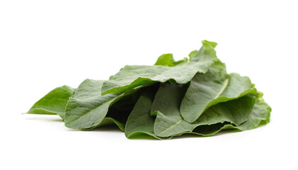 Green bouquet of sorrel.