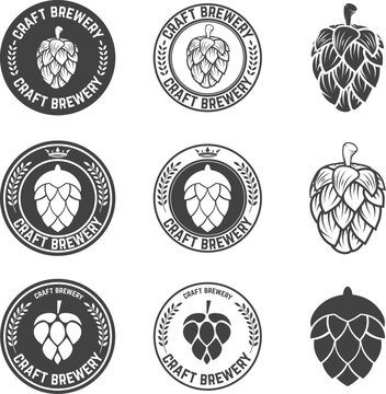 Set Of Hop Craft Beer Sign Symbol Label Element. Label,emblem Or Badge Template. Vector Illustration.