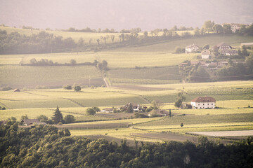 Fototapeta premium Beautiful view of Eppan/Appiano and its surroundings in South Tyrol, Italy.