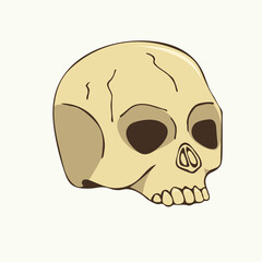 Vector illustration of a hand drawn human skull on a white background.