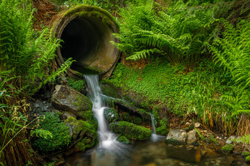 Grosse Mittweida creek in Erzgebirge mountains with tube under path in summer