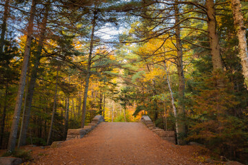 Acadia National Park in Fall near Bar Harbor, Maine: Bike path