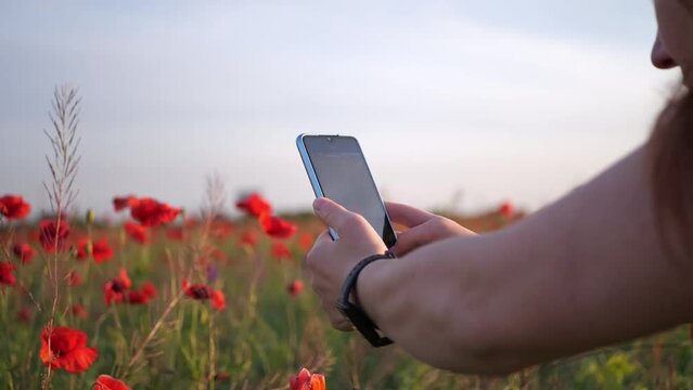 A woman takes a picture of flowers in a field on her phone.