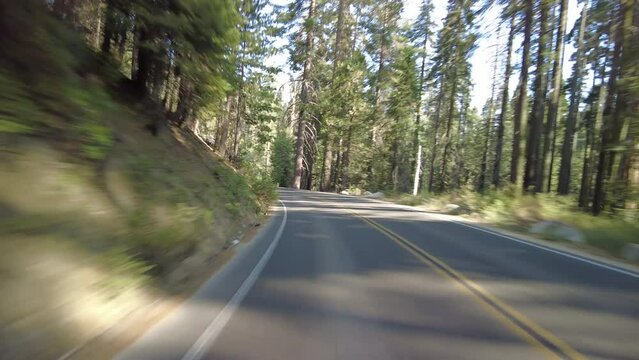 Sequoia National Park Generals Highway Northbound 04 Multi Camera Rear View Giant Forest Driving Plate Sierra Nevada Mts California USA