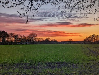 Sonnenuntergang im Sommer