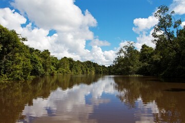 Obraz na płótnie Canvas Clouds reflecting into the water of Orinoco river in Venezuela 