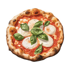 Neapolitan Margherita Pizza, vector, illustration.