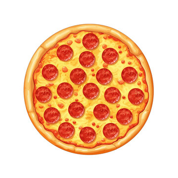 Classic salami pizza, vector, illustration.