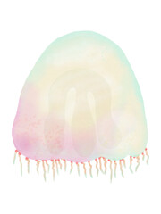Fototapeta premium Jelly Fish water color pastel hand drawn illustration 