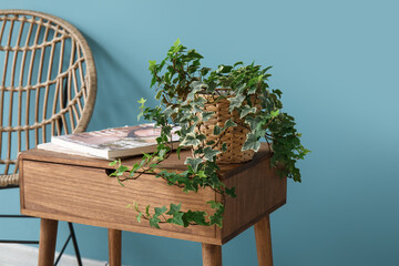 Houseplant and magazines on end table near blue wall, closeup