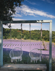 Wonderful lavender field with seats in Hungary