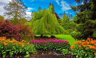 Queen Elizabeth Park Vancouver. Blossoming flower beds in  city park. Beautiful natural landscape...