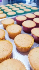 Cupcakes de vainilla