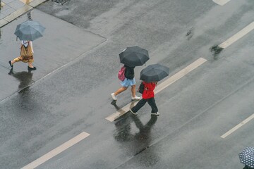 People with umbrellas seen from above.