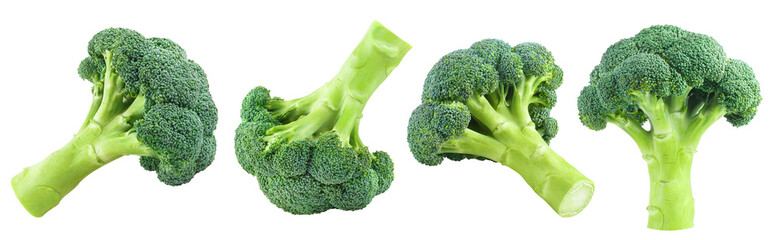 Delicious broccoli collection cut out - obrazy, fototapety, plakaty