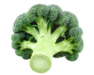 Delicious fresh broccoli cut out