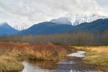 Golden Ears Grey Sky Winter. Golden Ears Mountain reflected in Pitt-Addington marsh. Pitt Meadows, BC, Canada.

