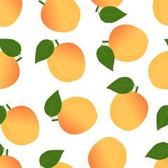 Apricot seamless pattern on white background. Endless or repeat texture with fresh summer apricot for fabric, wallpaper or wrapping paper. Vector illustration