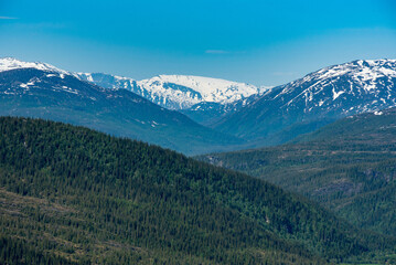 Obraz premium Mountain view from Risfjellet, Mo i Rana, Norway. Norwegian mountain landscape in early summer with snow on the high mountain peaks. Pine trees and high altitude. Mountain lake, fjord. Blue and green.