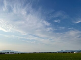 210621田んぼ樋越

山形市樋越
田んぼ
空
雲
