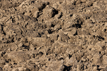 Preparation of soil for sowing plants