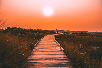 Sunset at the beach in the summer