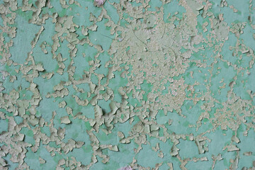 Peeling paint on the wall. Old concrete wall with cracked flaking paint. Weathered rough painted surface with patterns of cracks and peeling. Grunge texture for background and design. High resolution.