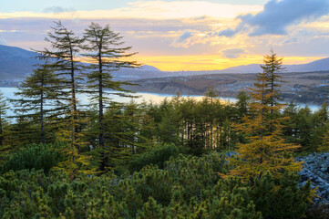 Picturesque evening autumn landscape. View of larch forest, sea bay and mountains. In the distance is the city of Magadan. Autumn season. Beautiful northern nature. Magadan region, Siberia, Russia.