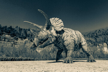 triceratops is passing by in winter times
