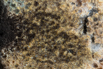 Black rye bread in mold on the board